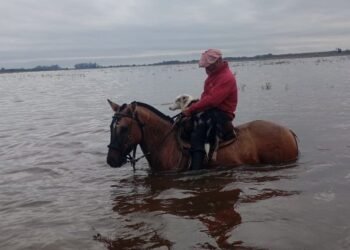 Inundaciones azotan la zona núcleo: 2 millones de hectáreas dañadas en Buenos Aires