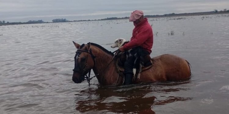 Inundaciones azotan la zona núcleo: 2 millones de hectáreas dañadas en Buenos Aires