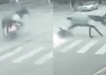 Motociclista herida tras ser impactada por un caballo en Necochea