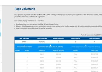 Habilitan pago voluntario de cuotas de créditos ANSES: ¿cómo acceder?