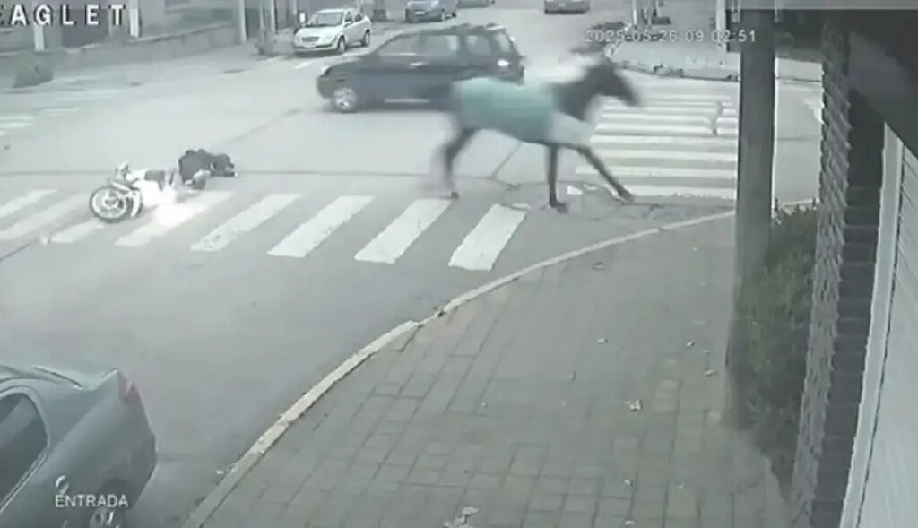 Mujer motorizada herida tras choque con caballo en el centro de Necochea