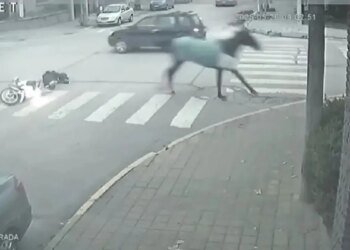 Mujer motorizada herida tras choque con caballo en el centro de Necochea