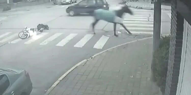 Mujer motorizada herida tras choque con caballo en el centro de Necochea