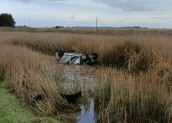 Matrimonio de Mar del Plata muere en trágico accidente en Ruta 2