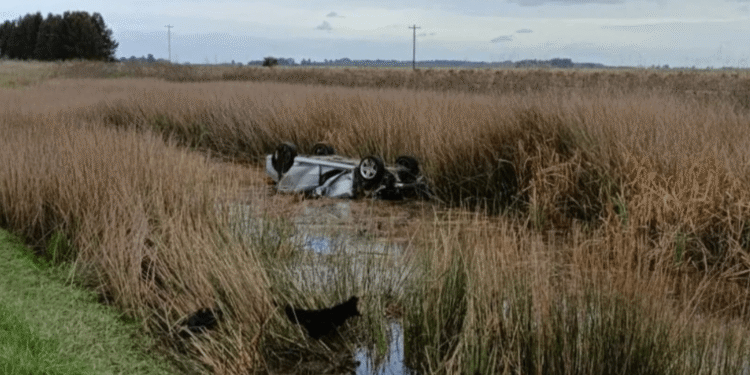 Matrimonio de Mar del Plata muere en trágico accidente en Ruta 2