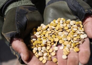 Alerta por la llegada del Captagón a Argentina: la droga que anula el miedo y potencia la criminalidad