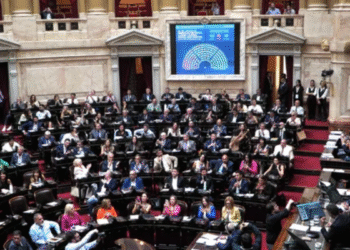 Diputados de La Libertad Avanza protagonizan pelea en la Cámara baja