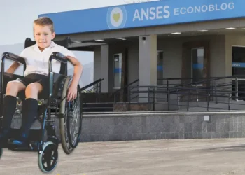Tamara Bezares aconseja priorizar la AUH con discapacidad ante demoras de PNC