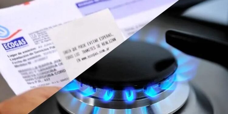 Revés en subsidios a la energía: cambios en el Registro de Beneficiarios