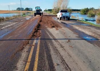 Operativos por el temporal en la Provincia de Buenos Aires continúan y algunas rutas se habilitan al tránsito