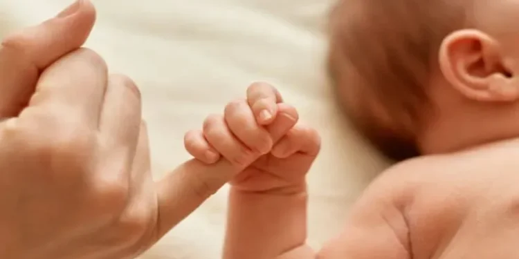 La natalidad en Argentina se desploma un 40% y los hogares sin hijos son mayoría