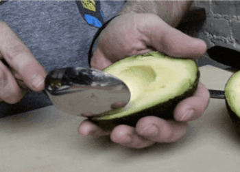 La cáscara de palta: un superalimento lleno de antioxidantes y fibra