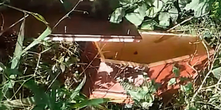 Ataúd de bebé abandonado genera misterio en Salta y alarma a vecinos