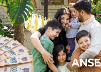 Acceso a préstamos sin ir al banco: cómo solicitar el crédito de ANSES