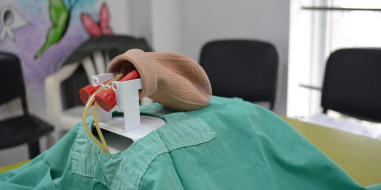 La Provincia de Buenos Aires implementa vasectomía sin bisturí gratuita