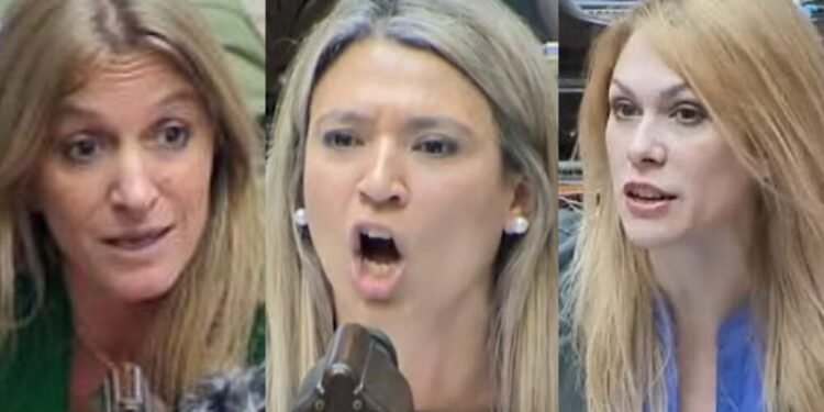 Diputada kirchnerista protagoniza cruce tenso con libertarias en el Congreso