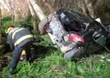 Conductor muere tras impactar su auto contra columna en ruta 88