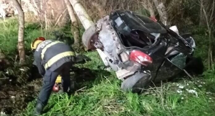 Conductor muere tras impactar su auto contra columna en ruta 88
