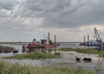 El retraso del Plan Salado genera pérdidas millonarias en el interior productivo