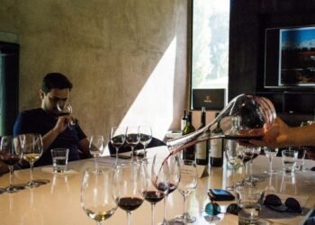 Día del Sommelier: Un homenaje a los intérpretes del vino argentino