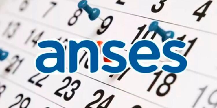 AUH de junio 2025: ¿cuánto se cobra y cuándo se acredita el pago?