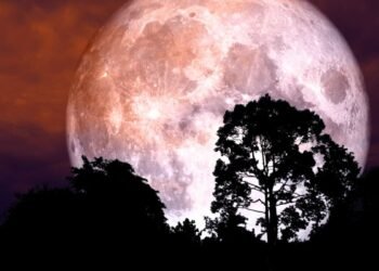 La Luna de Fresa brillará en su punto más alto el 11 de junio