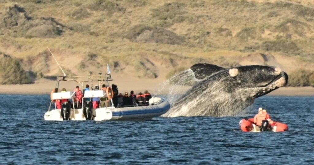 2,1 millones de turistas disfrutaron fines de semana largos y cultura local