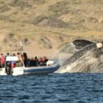 2,1 millones de turistas disfrutaron fines de semana largos y cultura local
