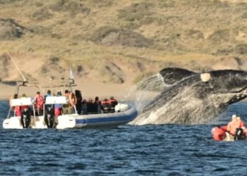 2,1 millones de turistas disfrutaron fines de semana largos y cultura local