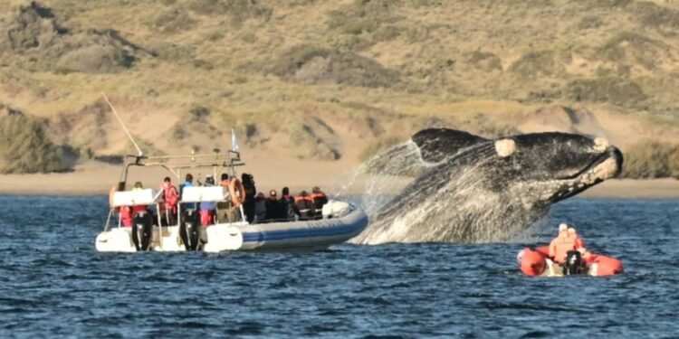 2,1 millones de turistas disfrutaron fines de semana largos y cultura local
