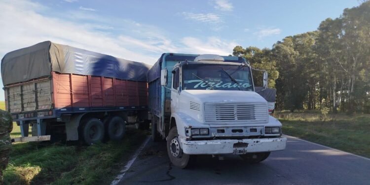Camionero relata el trágico momento en que atropella a Fernando Dellarciprete