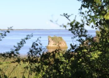 Descubrí Vuelta de Obligado: un refugio histórico y natural cerca de Buenos Aires
