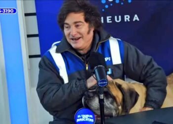 Milei y su perro Conan promueven una campaña solidaria por refugios animales