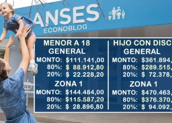 Anses confirmó los nuevos montos de la Asignación Universal por Hijo en julio
