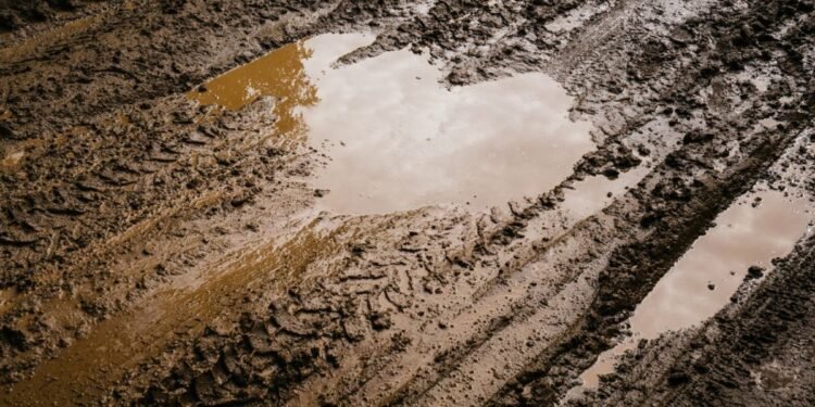 Elige los neumáticos adecuados para tu SUV y transforma tu manejo