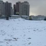 Ola polar sorprende a localidades bonaerenses con nevadas históricas