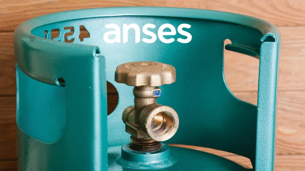 ANSES anuncia pagos del Programa Hogar y requisitos para junio 2025