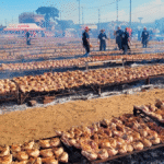 Argentina bate récord Guinness con más de 8.600 kilos de pollo asado