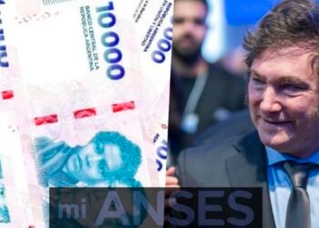 Se confirma el nuevo bono de ANSES: ¿cuáles son los requisitos?