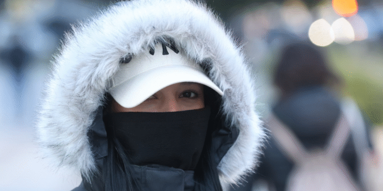 Alerta por niebla densa en Buenos Aires, Córdoba y otras provincias