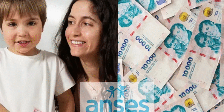 ¿Cómo acceder a la devolución del 20% de la AUH y otros beneficios?