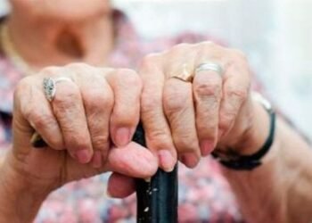 ANSES aconseja revisar la historia laboral para el futuro jubilatorio