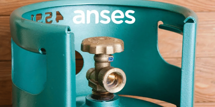ANSES lanza el Programa Hogar para ayudar a familias sin gas natural