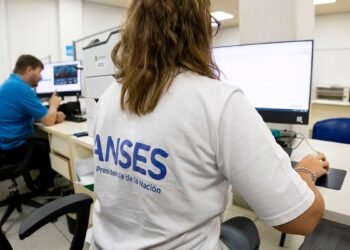 ANSES: ¿Cuándo se cobran las asignaciones de pago único en agosto?