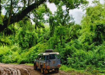 San Francisco en Jujuy: un refugio ideal para los amantes de la naturaleza