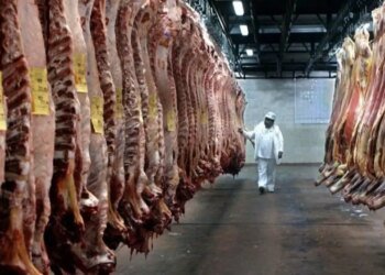 El consumo de carne vacuna en Argentina sigue en niveles históricamente bajos