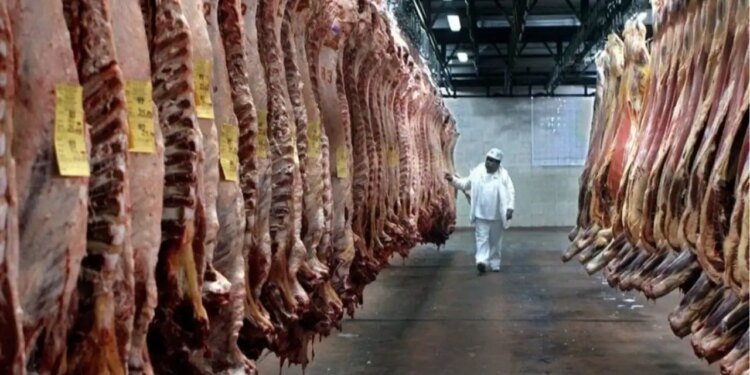 El consumo de carne vacuna en Argentina sigue en niveles históricamente bajos