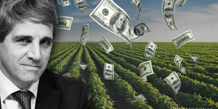 Milei elige mantener retenciones en el campo para equilibrar la economía