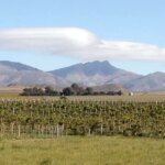Saldungaray: la escapada ideal para disfrutar vinos y naturaleza en el sur