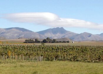 Saldungaray: la escapada ideal para disfrutar vinos y naturaleza en el sur